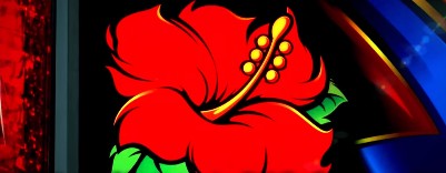 マシマシ スロット新台 ハイビスカスランプ